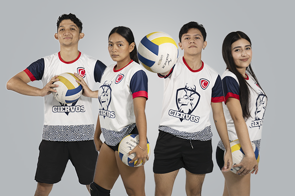 Voleibol
