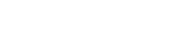 CN Seguridad